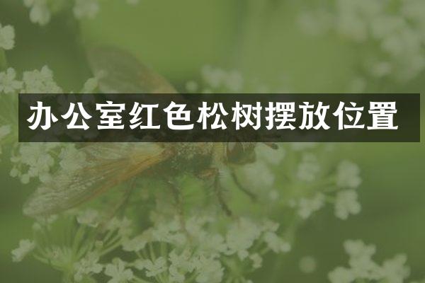 办公室红色松树摆放位置