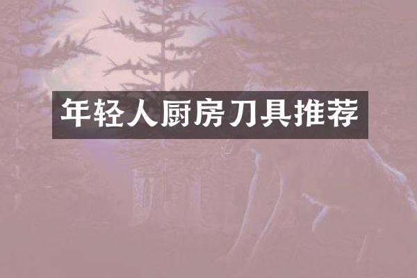 年轻人厨房刀具推荐