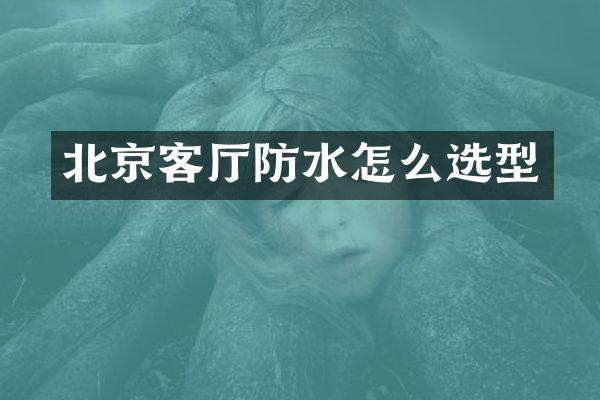 北京客厅防水怎么选型