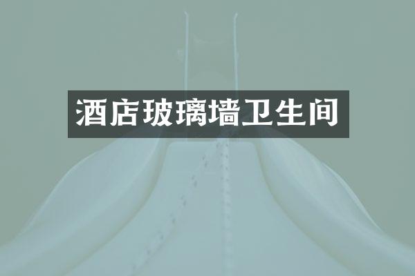 酒店玻璃墙卫生间