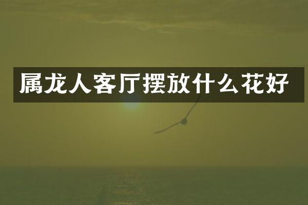 属龙人客厅摆放什么花好