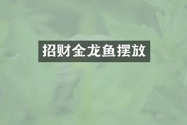 招财金龙鱼摆放