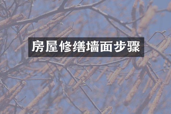 房屋修缮墙面步骤