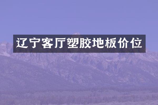 辽宁客厅塑胶地板价位