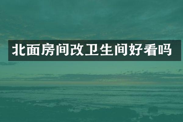北面房间改卫生间好看吗