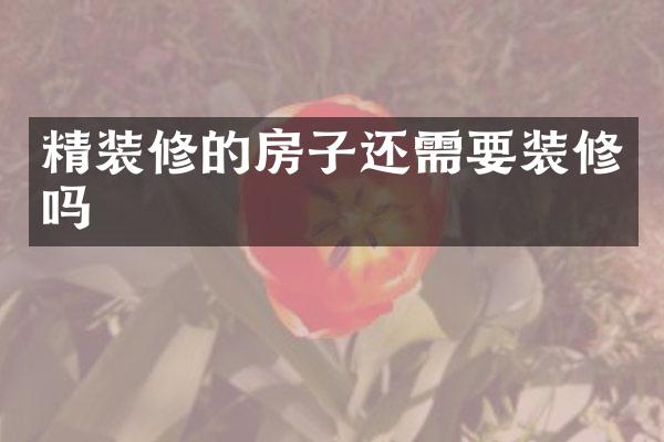 精装修的房子还需要装修吗