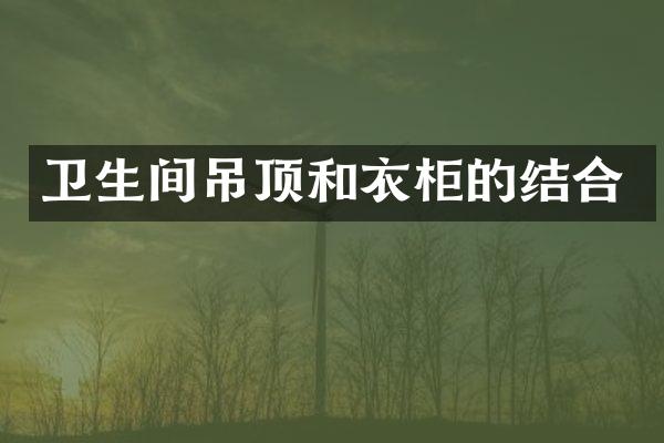 卫生间吊顶和衣柜的结合