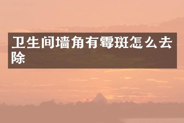 卫生间墙角有霉斑怎么去除