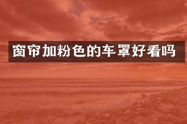 窗帘加粉色的车罩好看吗