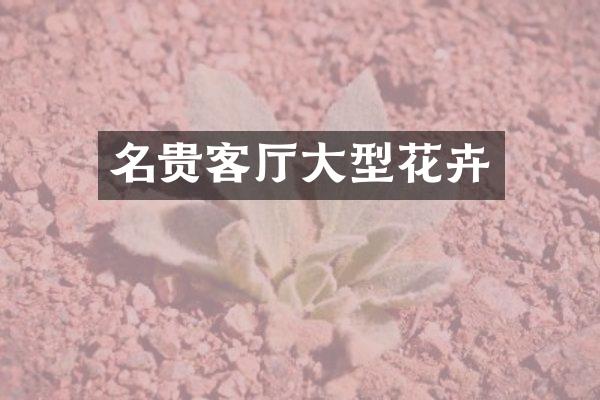 名贵客厅大型花卉