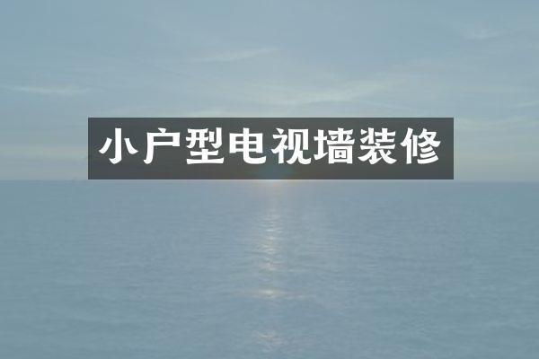小户型电视墙装修