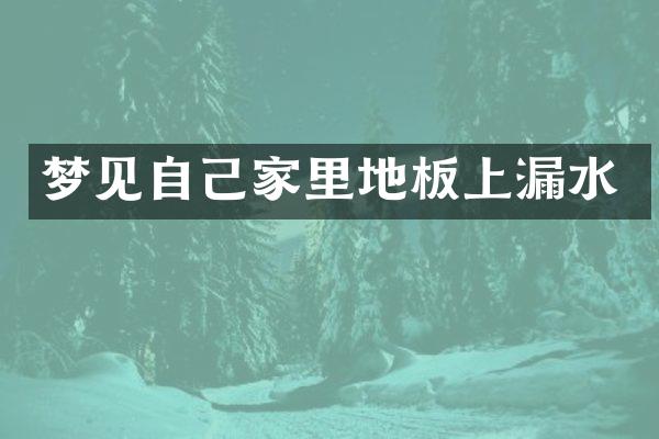 梦见自己家里地板上漏水