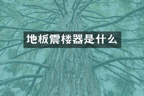 地板震楼器是什么