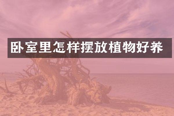 卧室里怎样摆放植物好养
