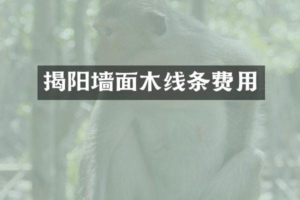 揭阳墙面木线条费用