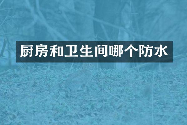 厨房和卫生间哪个防水