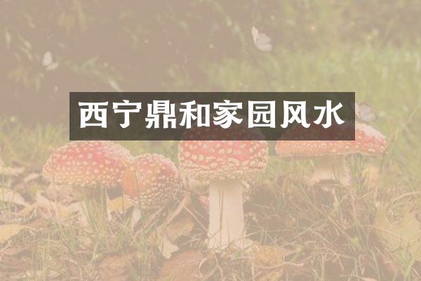 西宁鼎和家园风水