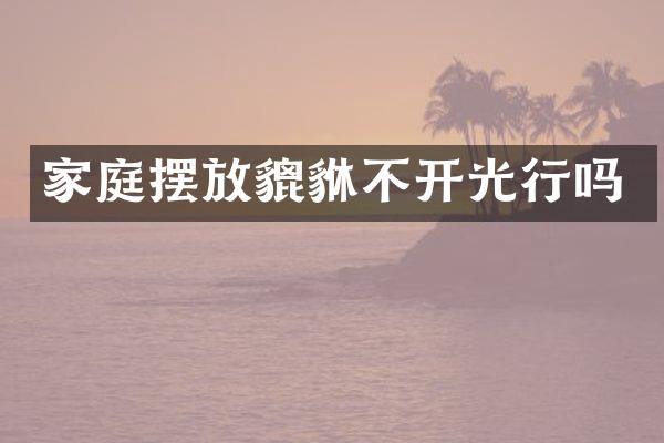 家庭摆放貔貅不开光行吗