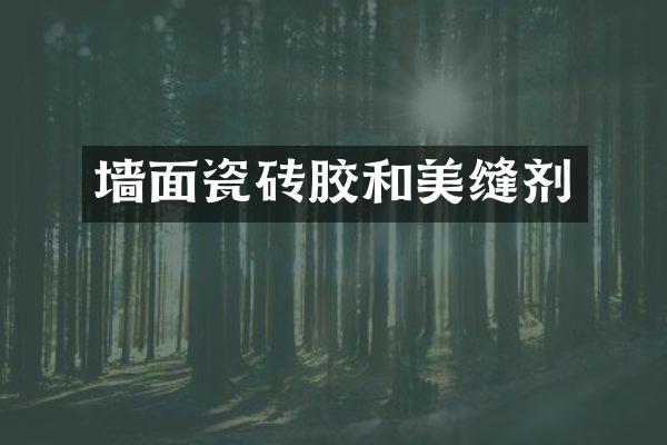 墙面瓷砖胶和美缝剂