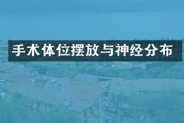 手术体位摆放与神经分布