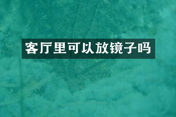 客厅里可以放镜子吗