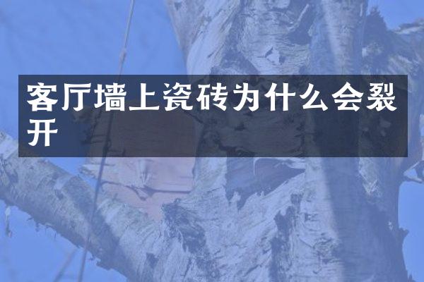 客厅墙上瓷砖为什么会裂开