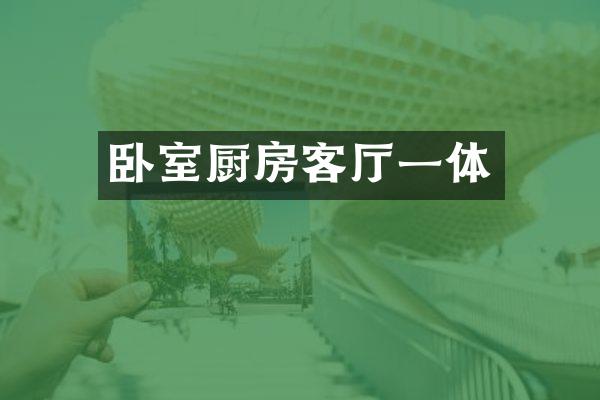 卧室厨房客厅一体