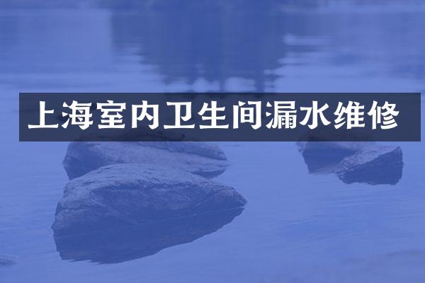 上海室内卫生间漏水维修