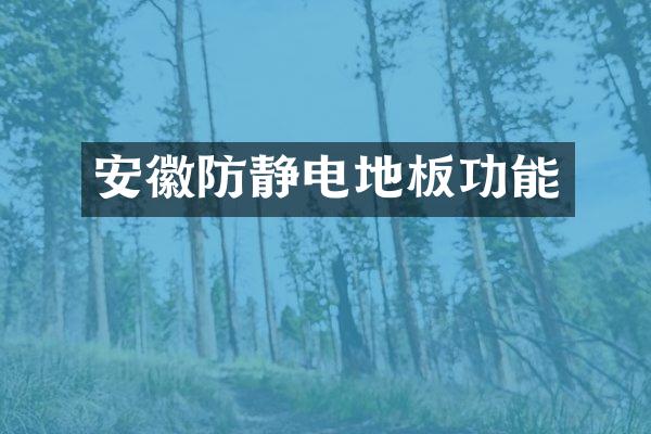 安徽防静电地板功能