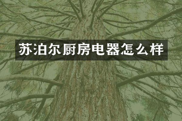 苏泊尔厨房电器怎么样