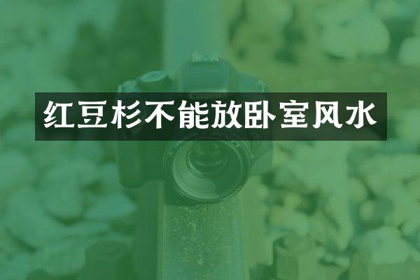 红豆杉不能放卧室风水