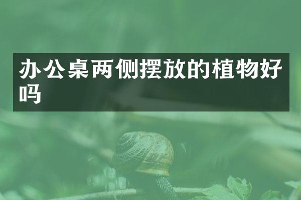 办公桌两侧摆放的植物好吗