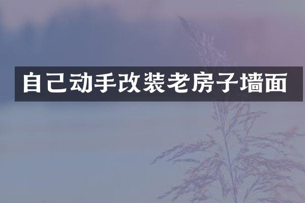 自己动手改装老房子墙面