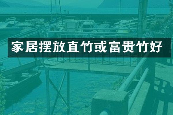 家居摆放直竹或富贵竹好