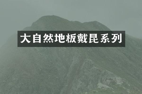 大自然地板戴昆系列