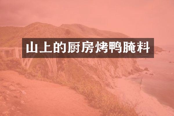 山上的厨房烤鸭腌料