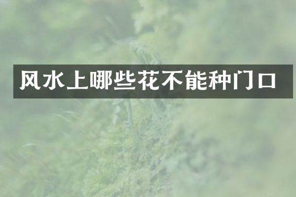 风水上哪些花不能种门口