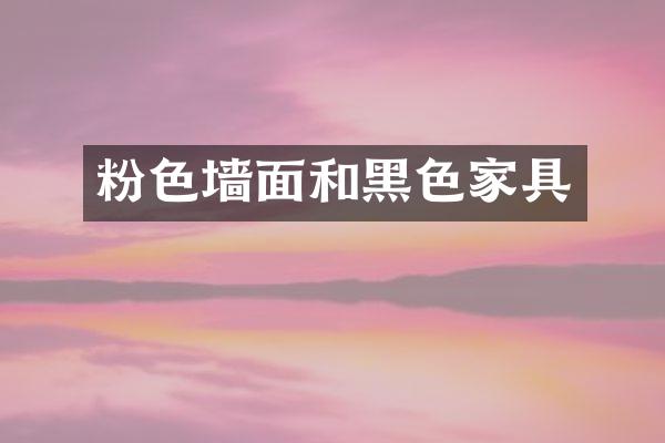 粉色墙面和黑色家具