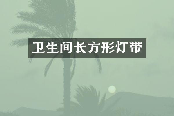 卫生间长方形灯带