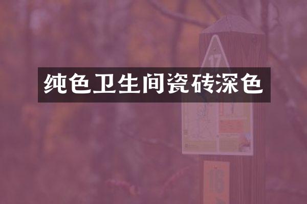 纯色卫生间瓷砖深色