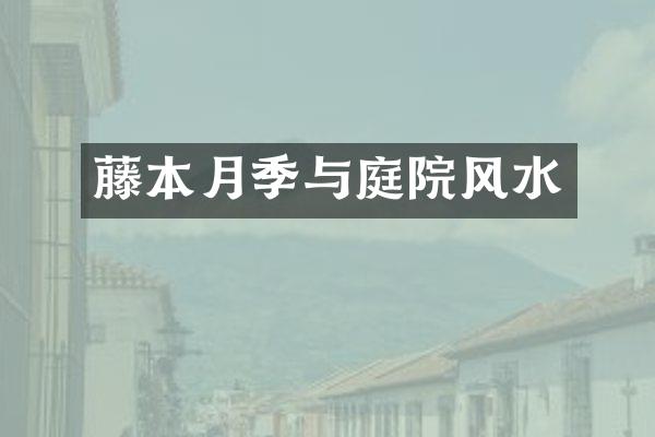 藤本月季与庭院风水