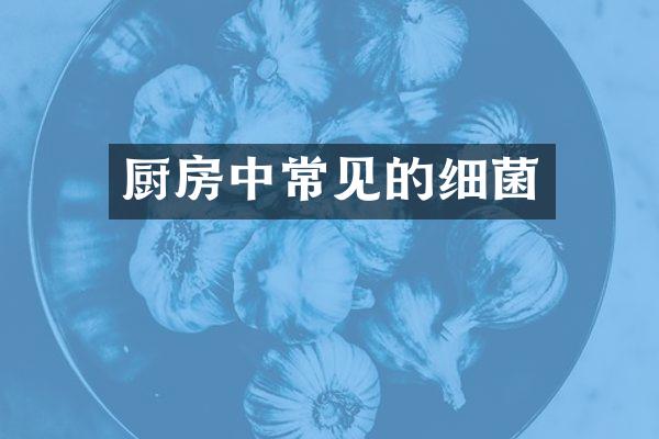 厨房中常见的细菌