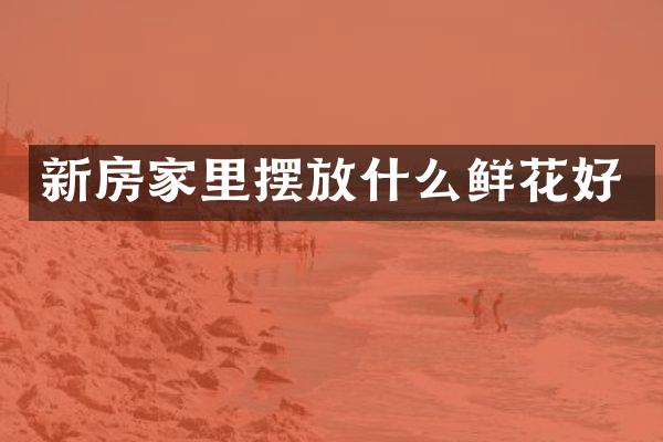 新房家里摆放什么鲜花好