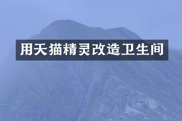 用天猫精灵改造卫生间