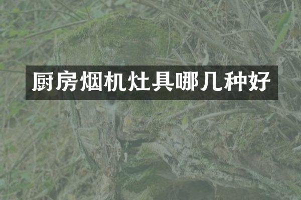 厨房烟机灶具哪几种好