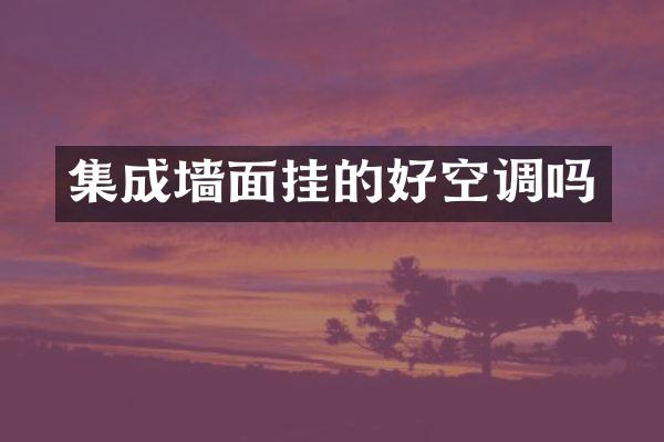 集成墙面挂的好空调吗