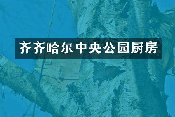 齐齐哈尔中央公园厨房
