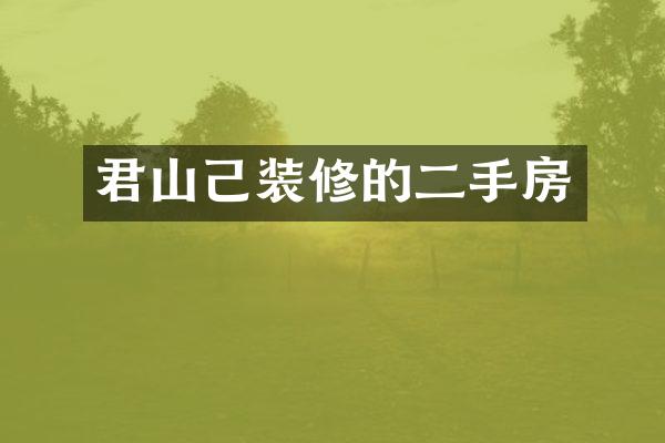 君山己装修的二手房