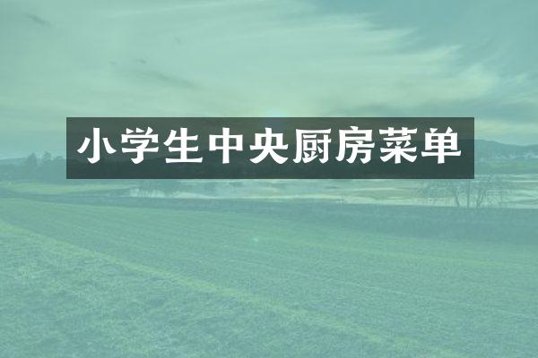 小学生中央厨房菜单