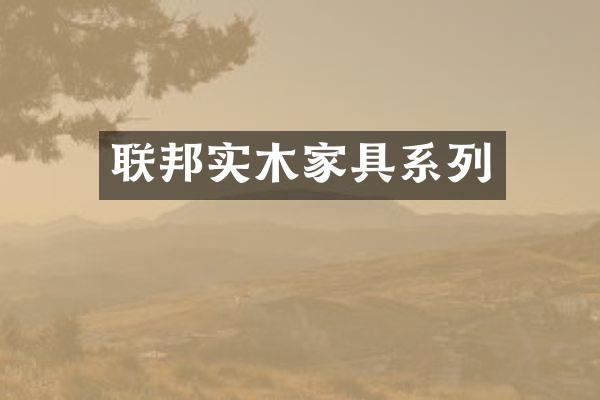 联邦实木家具系列
